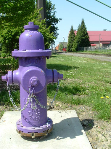 Purple Hydrant