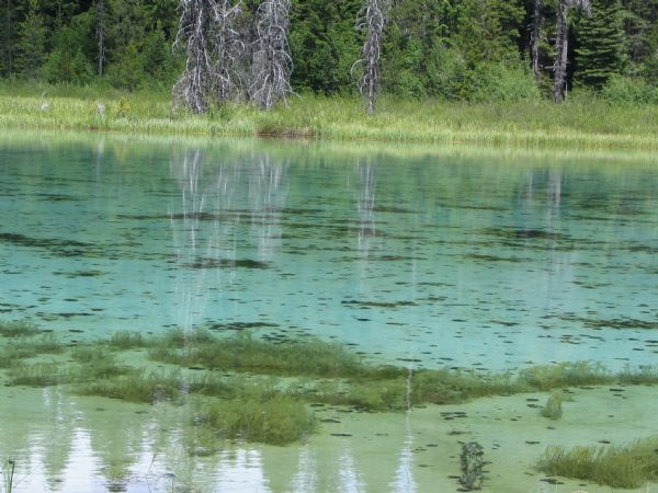 Clackamas Lake