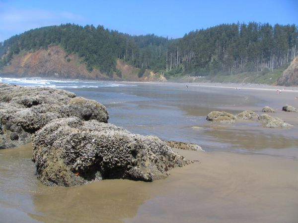 Ecola StatePark