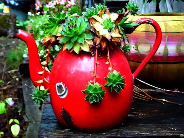 Red Pot