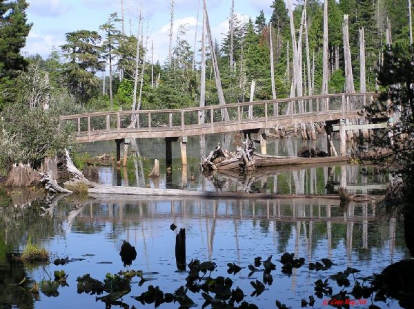 Worn Footbridge