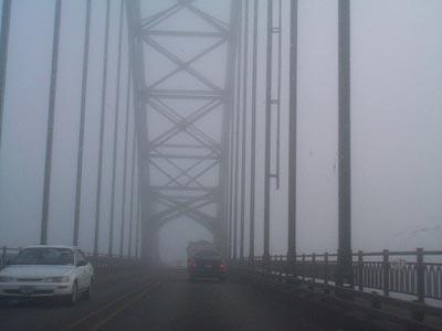 newport fog