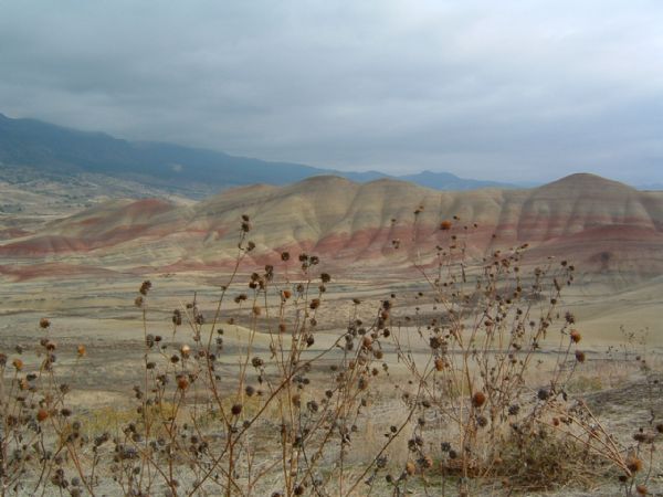 painted hills