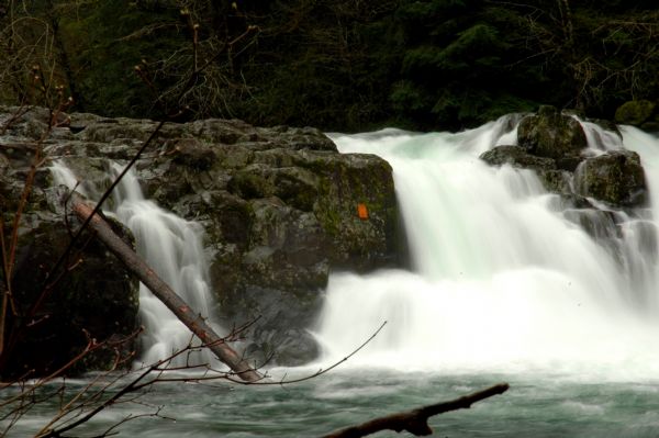 Salmon Falls