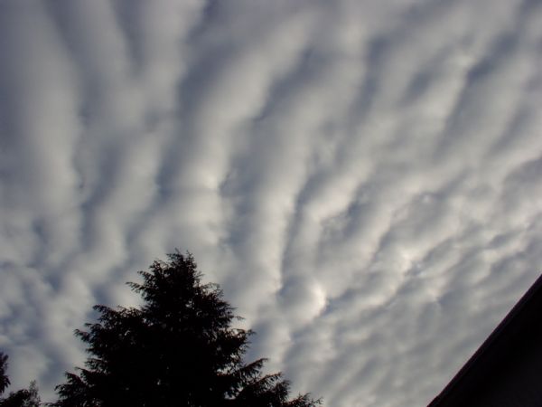 Spring clouds