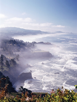 Foggy Coast