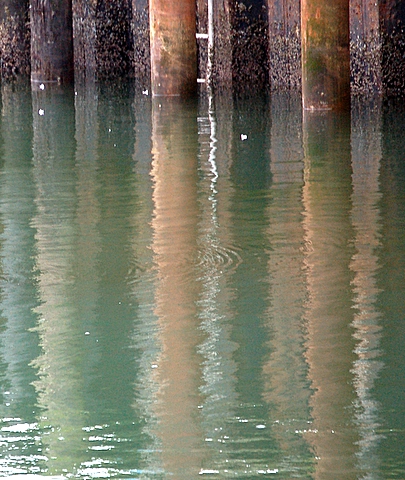 dock reflection