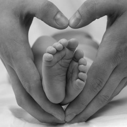 Baby Studio Pictures on Framed With His Dad S Hands At The Nancy Lynne Photography Studio