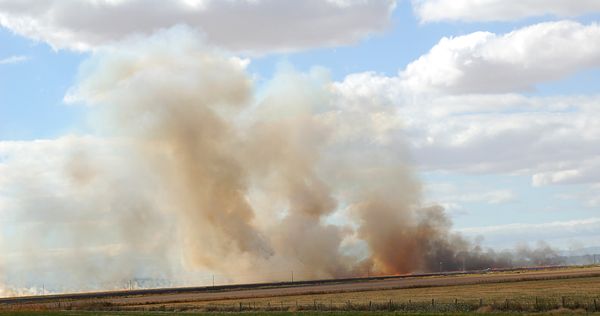 Field Burning