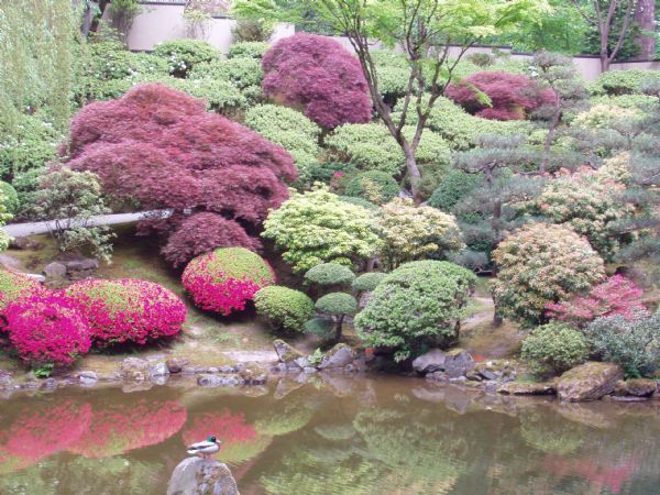 Japan Gardens