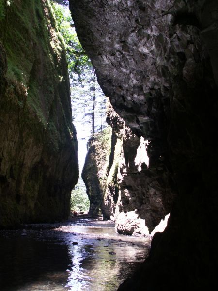 Oneonta Gorge