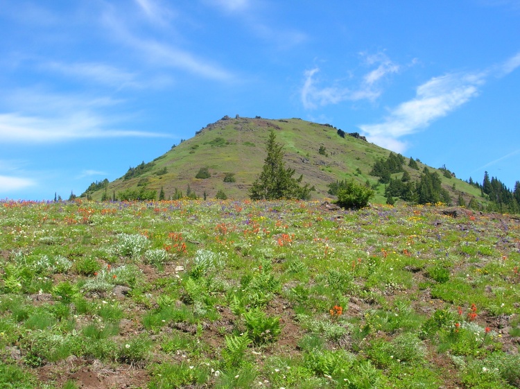 Cone Peak (OR)