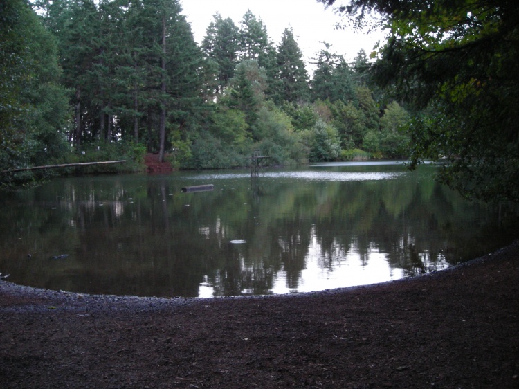 Cronemiller Lake