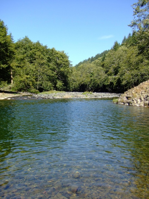 Gale's Creek