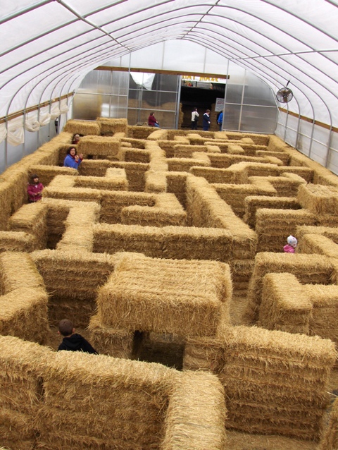 Hay Maze at Bowman Farms