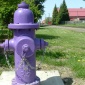 Purple Hydrant