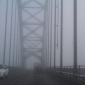 newport fog