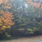 fall blur on 26