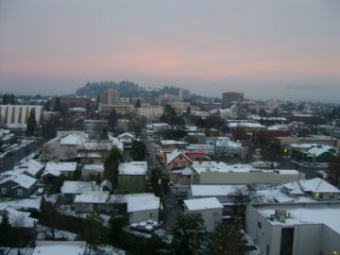 Snowy Eugene