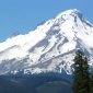 Mt Hood