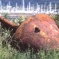 Rusted Relic