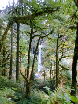 Silver Falls