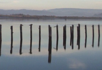 pilings