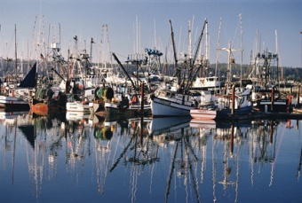 Newport Harbor