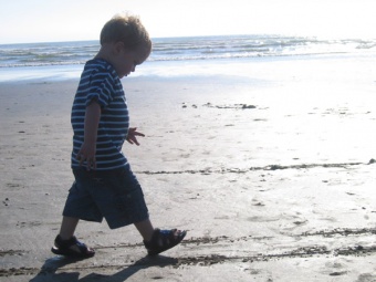 Beach Walk