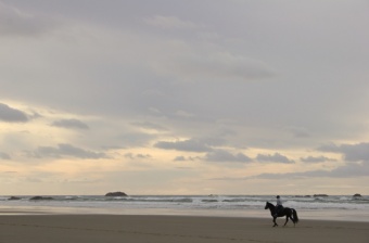 beach riding