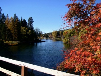 Mirror Pond