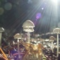 Tiny Mushrooms