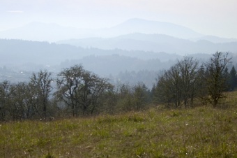 Mary's Peak