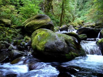 rock stream