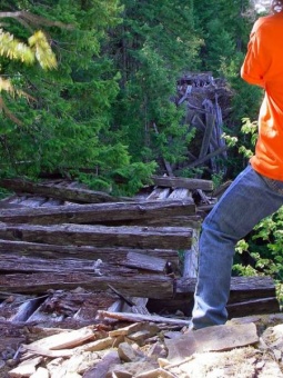 Trestle Remains