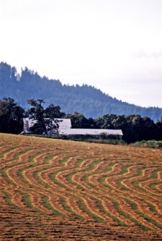 Harvest Time