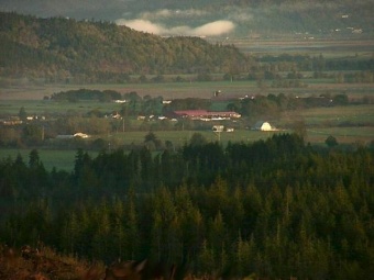 Dairy Farm