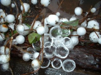 Iced Wreath