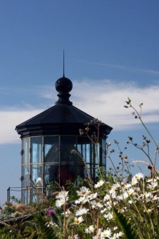 Cape Mears 