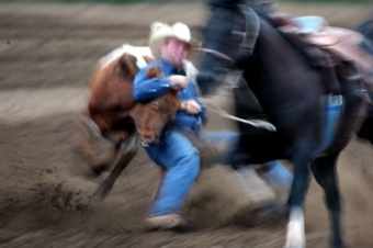 Steer Wrestling