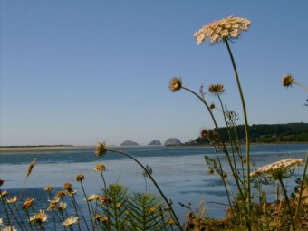 Oregon coast1