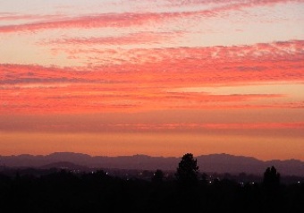 Sunset Eugene