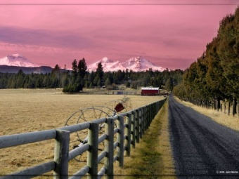 Cascades Mtns.