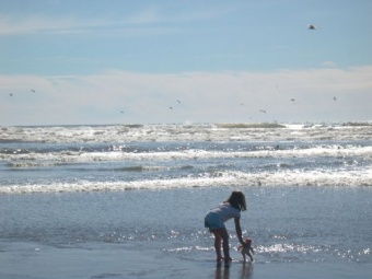 Gearhart beach