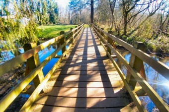 A Foot Bridge