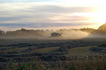 Evening Combine