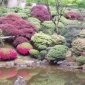 Japan Gardens