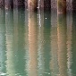 dock reflection