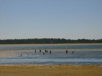 Clam diggers