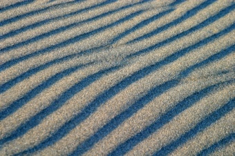 Lines In The Sand